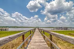 2840 River Vista Way, Mount Pleasant, SC 29466 - Photo 107