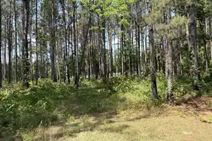 2022 Lumber Rd, Ruffin, SC 29475 - Photo 45