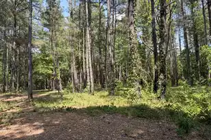 2022 Lumber Rd, Ruffin, SC 29475 - Photo 43