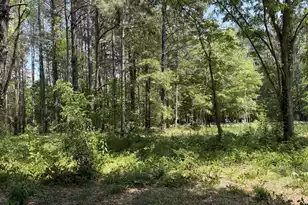 2022 Lumber Rd, Ruffin, SC 29475 - Photo 23
