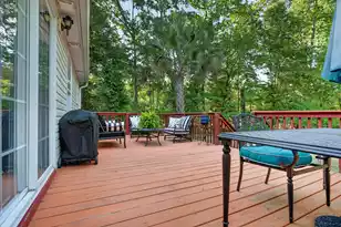 28 Santee Lakes Ct, Elloree, SC 29047 - Photo 53
