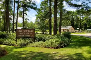 1307 Gin Pond Dr, Summerton, SC 29148 - Photo 33