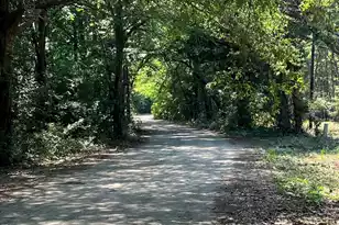 1810 Turkey Pen Rd, Charleston, SC 29412 - Photo 45