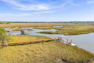 1395 Harbor View Rd, Charleston, SC 29412 - Photo 33