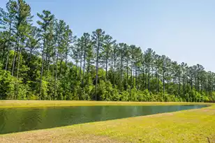 169 Huguenot Trl, Huger, SC 29450 - Photo 49