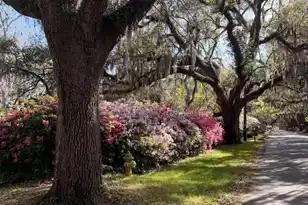 2166 St James Dr, Charleston, SC 29412 - Photo 37