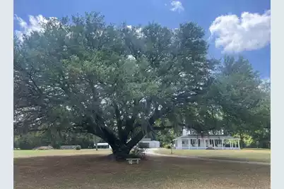 6068 Charleston Highway, Walterboro, SC 29488 - Photo 25
