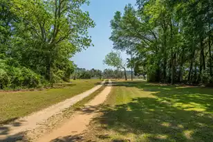 7650 Point of Pines Rd, Edisto Island, SC 29438 - Photo 7