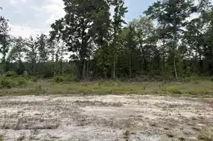 130 Zone Way, Cottageville, SC 29435 - Photo 43