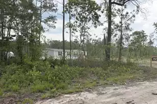 130 Zone Way, Cottageville, SC 29435 - Photo 41