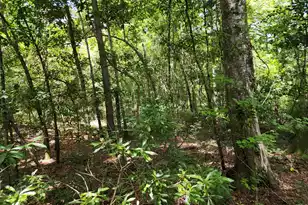 019 Thomas Kate Rd, Dorchester, SC 29437 - Photo 21