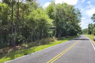 019 Thomas Kate Rd, Dorchester, SC 29437 - Photo 3