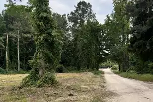 193 Evergreen Ln, Saint George, SC 29477 - Photo 5