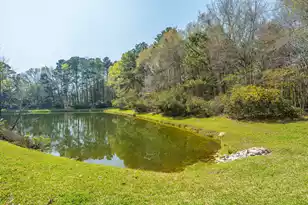 291 Cabrill Dr, Charleston, SC 29414 - Photo 51