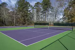 307 Pimpernel St, Summerville, SC 29483 - Photo 57