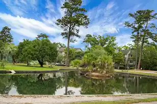 205 River Breeze Dr, Charleston, SC 29407 - Photo 49
