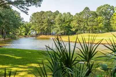 3868 Colonel Vanderhorst Circle, Mount Pleasant, SC 29466 - Photo 71