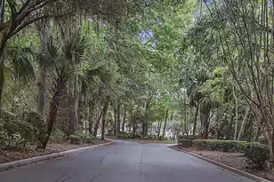 8169 Shadow Oak Dr, North Charleston, SC 29406 - Photo 49