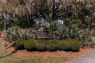 619 Beaten Path, Charleston, SC 29412 - Photo 41