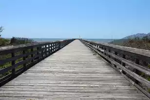 1300 Ocean Blvd, Isle Of Palms, SC 29451 - Photo 9