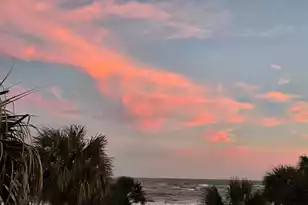 17 Beach Club Villas, Isle Of Palms, SC 29451 - Photo 53