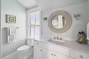 250 Furman Farm Pl, Charleston, SC 29492 - Photo 63