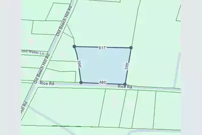 0 Rice Road, Ridgeville, SC 29472 - Photo 13