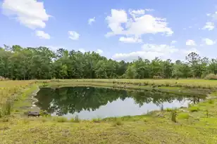 712 Wesley Grove Rd, Cottageville, SC 29435 - Photo 53