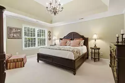 3474 Shagbark Circle, Mount Pleasant, SC 29466 - Photo 35