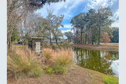 606 Bramblewood Court, Charleston, SC 29414 - Photo 49