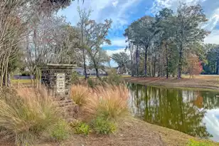 606 Bramblewood Ct, Charleston, SC 29414 - Photo 49