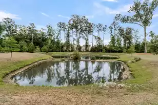 606 Bramblewood Ct, Charleston, SC 29414 - Photo 47