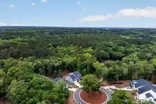 7089 Pumpkinseed Dr, Johns Island, SC 29455 - Photo 55
