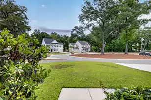 7089 Pumpkinseed Dr, Johns Island, SC 29455 - Photo 63