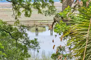 17 Blake Ln, Seabrook, SC 29940 - Photo 89