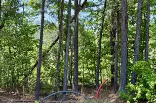 337 Weathers Farm Rd, Bowman, SC 29018 - Photo 53
