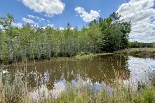 337 Weathers Farm Rd, Bowman, SC 29018 - Photo 39