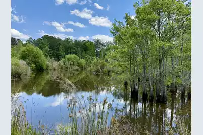 337 Weathers Farm Road, Bowman, SC 29018 - Photo 37
