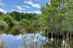337 Weathers Farm Rd, Bowman, SC 29018 - Photo 37