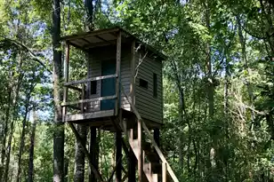 337 Weathers Farm Rd, Bowman, SC 29018 - Photo 51