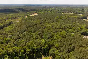 337 Weathers Farm Rd, Bowman, SC 29018 - Photo 77