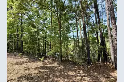 337 Weathers Farm Road, Bowman, SC 29018 - Photo 57