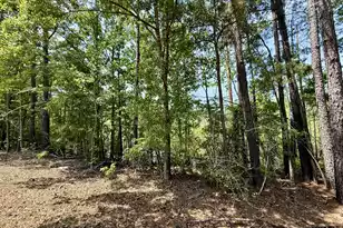 337 Weathers Farm Rd, Bowman, SC 29018 - Photo 57