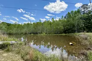 337 Weathers Farm Rd, Bowman, SC 29018 - Photo 35