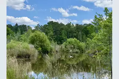 337 Weathers Farm Road, Bowman, SC 29018 - Photo 3