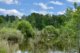 337 Weathers Farm Rd, Bowman, SC 29018 - Photo 3