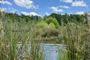 337 Weathers Farm Rd, Bowman, SC 29018 - Photo 35