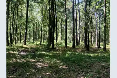 337 Weathers Farm Road, Bowman, SC 29018 - Photo 55