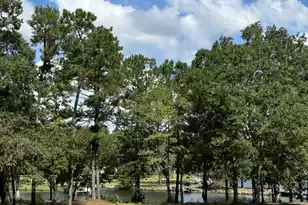 1277 Ackerman Dr, Summerton, SC 29148 - Photo 31