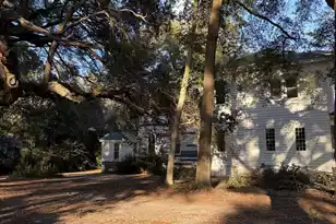 1217 Wichman St, Walterboro, SC 29488 - Photo 39
